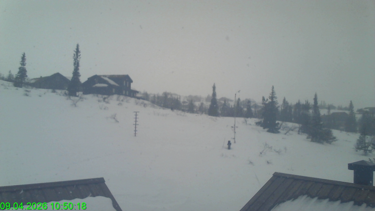 Høgevarde - Hyttefelt